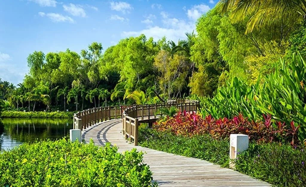 GRAND LUXXE VIDANTA MEXICO VACATION OWNERSHIP IN PUERTO VALLARTA & RIVIERA MAYA