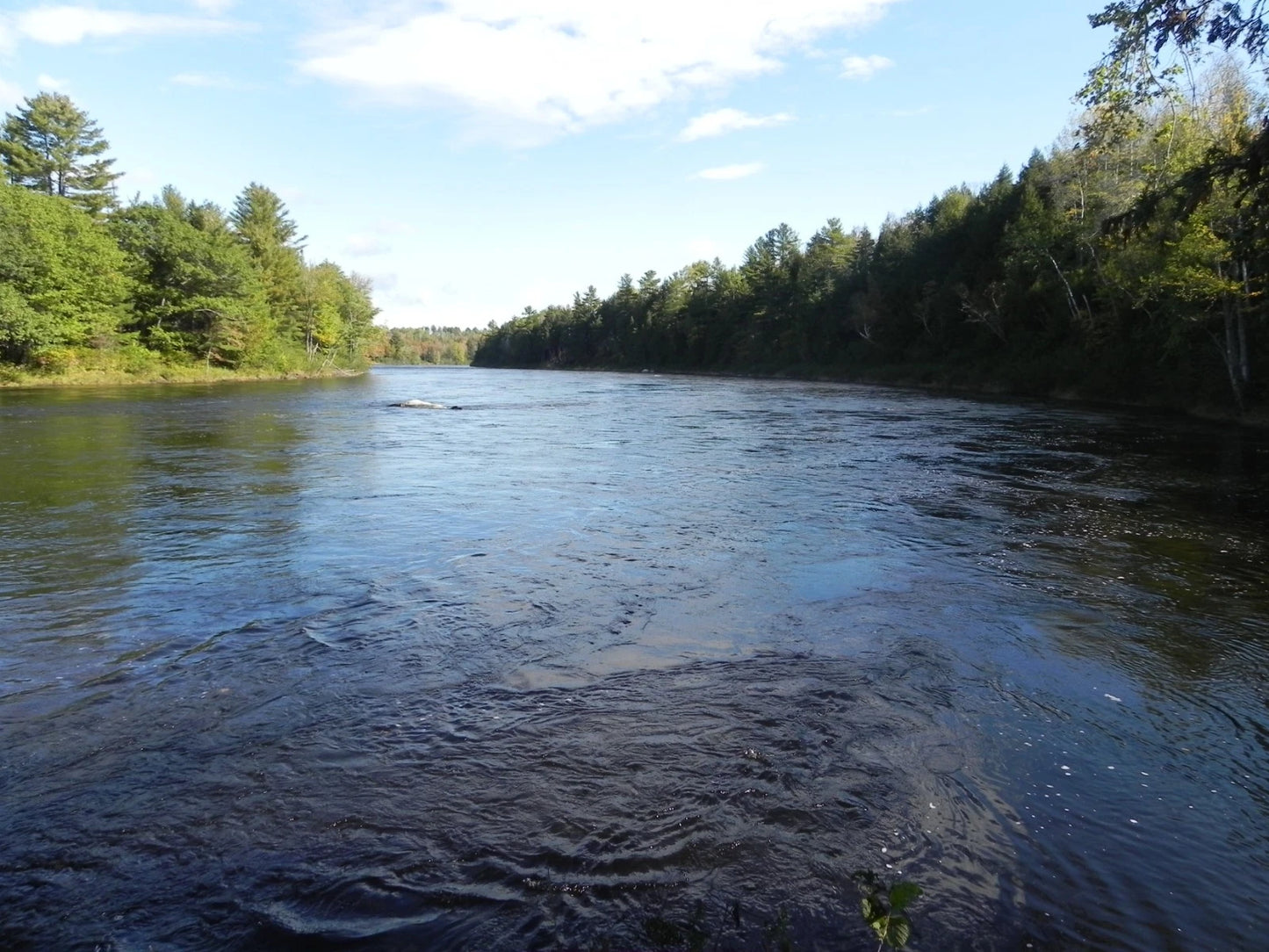 $59,900 Maine water front 8.4 acres, land river, timber Owner financing