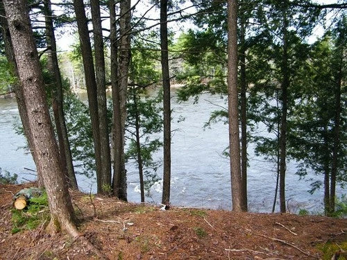 $59,900 Maine water front 8.4 acres, land river, timber Owner financing