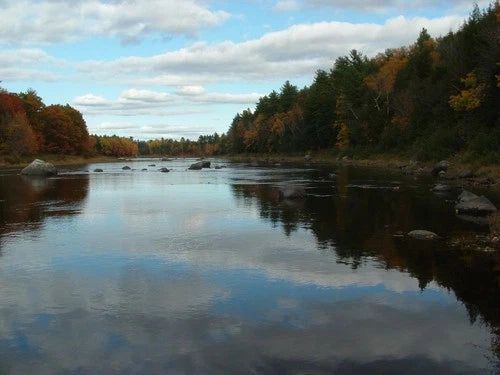 $59,900 Maine water front 8.4 acres, land river, timber Owner financing