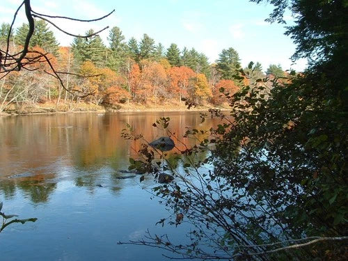 $59,900 Maine water front 8.4 acres, land river, timber Owner financing